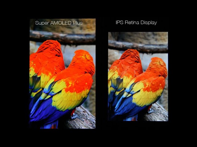 Retina vs Super AMOLED