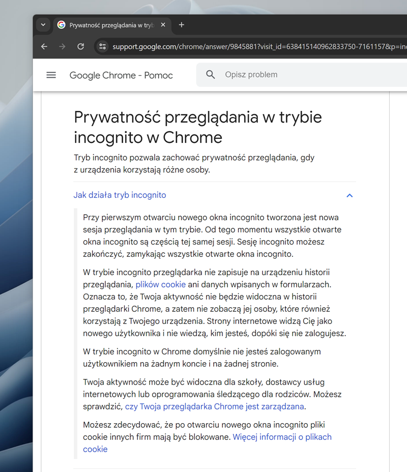 Opis usługi na stronach Google