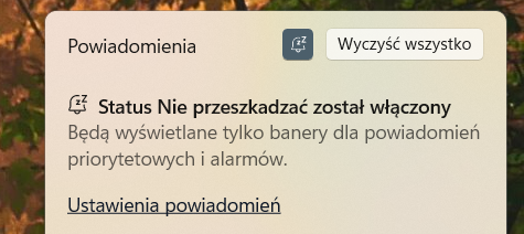 Poprawiona funkcja "Skupienia" w Windows 11